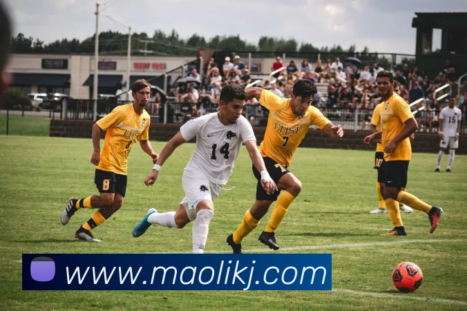 多媒体互动体验